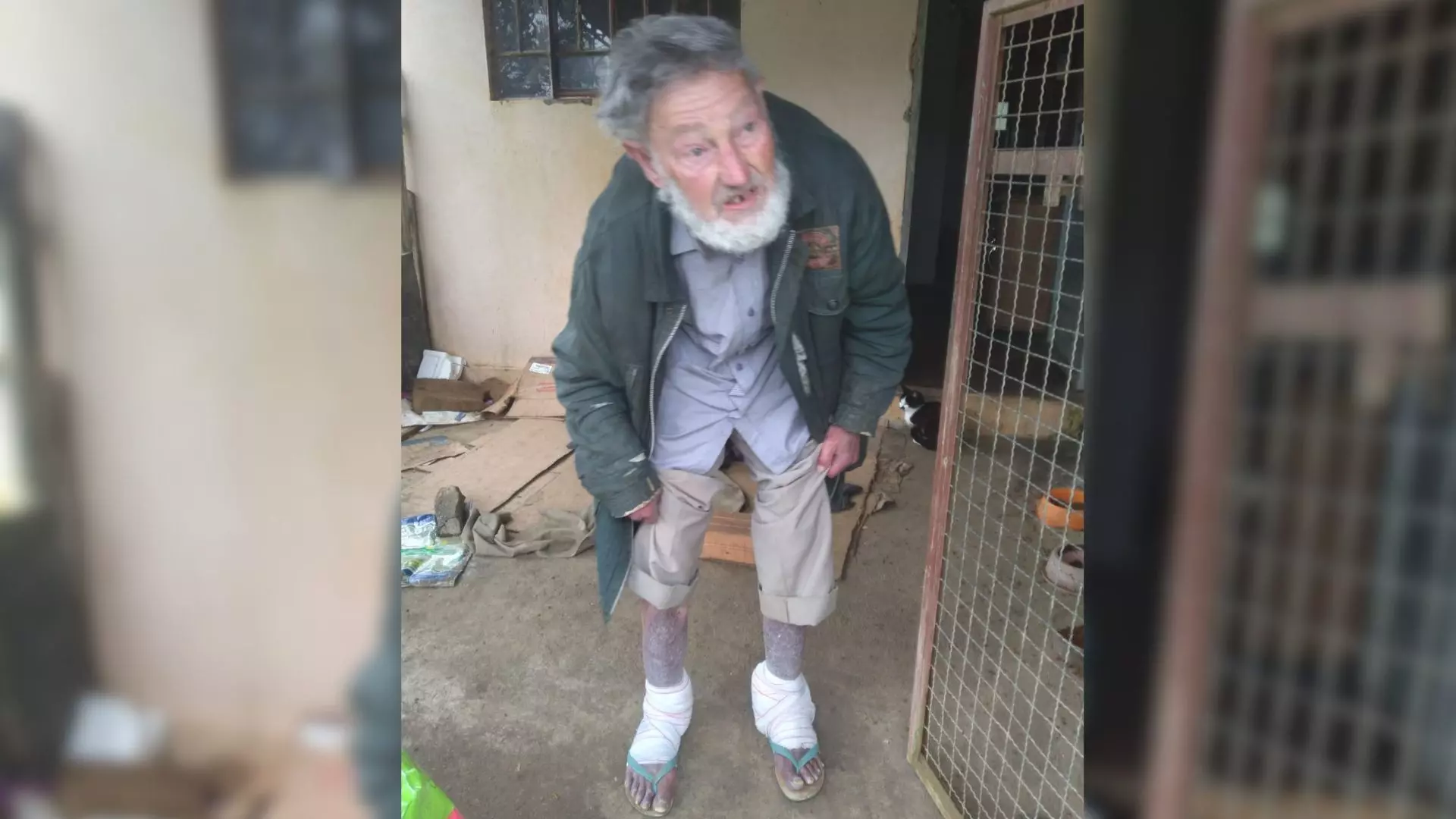 Idoso de 66 anos de Mafra dedica a vida ao cuidado de gatos abandonados e busca ajuda em vakinha online